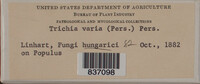 Image Associated With the Occurence